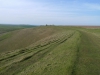 Pewsey Downs