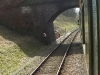 Bluebell railway