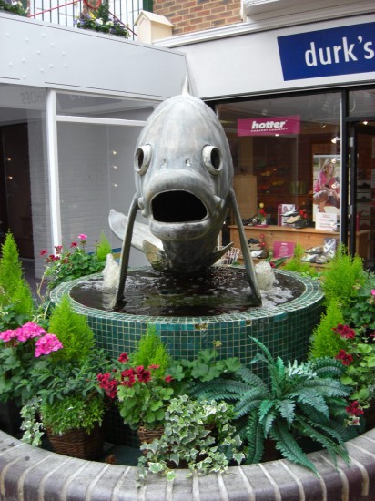 fish_front
